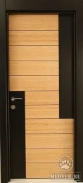Недорогая металлическая дверь-76