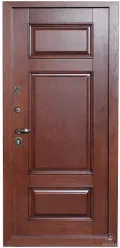 Металлическая дверь 10
